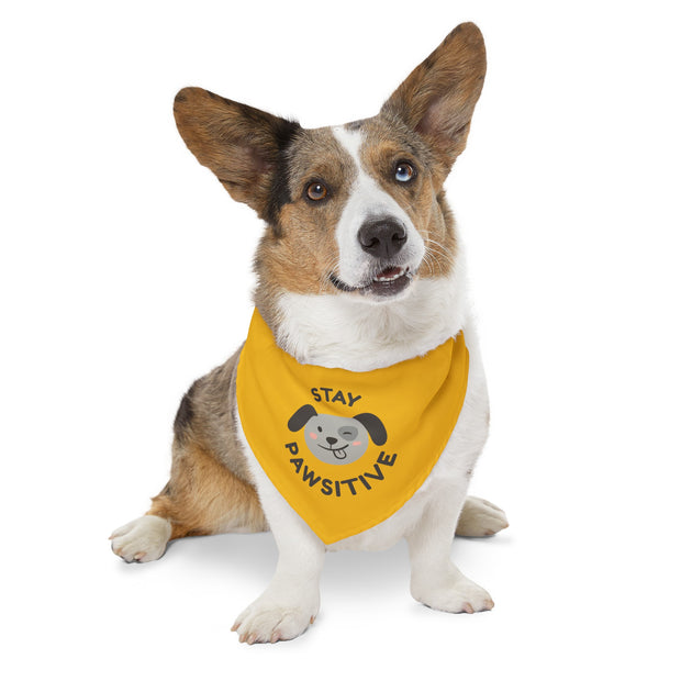 Stay Pawsitive Pet Bandana Collar