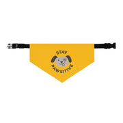 Stay Pawsitive Pet Bandana Collar