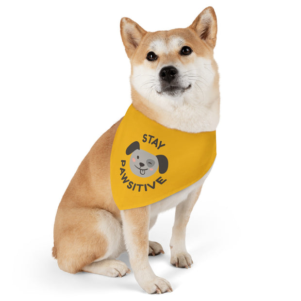 Stay Pawsitive Pet Bandana Collar